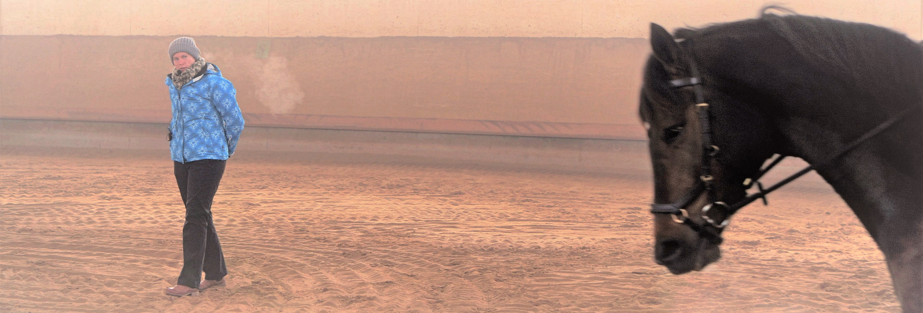 Kouluratsastusvalmennus Uusimaa
Kouluratsastus valmentaja